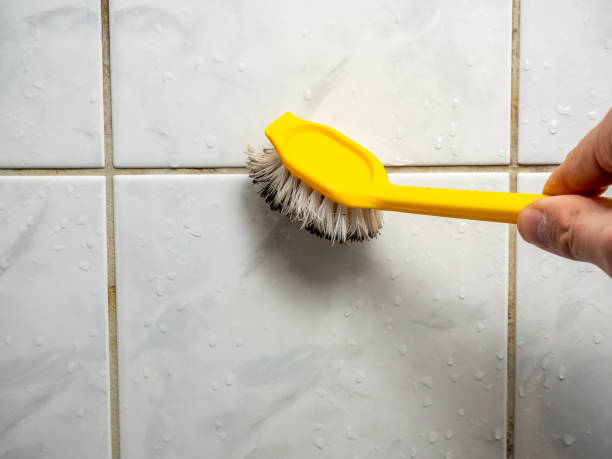 Best Same-Day Mold Removal  in Delta, UT