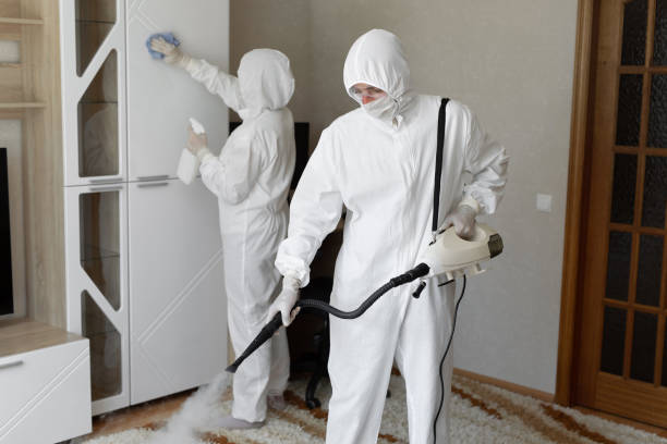 Attic Mold Removal in Delta, UT