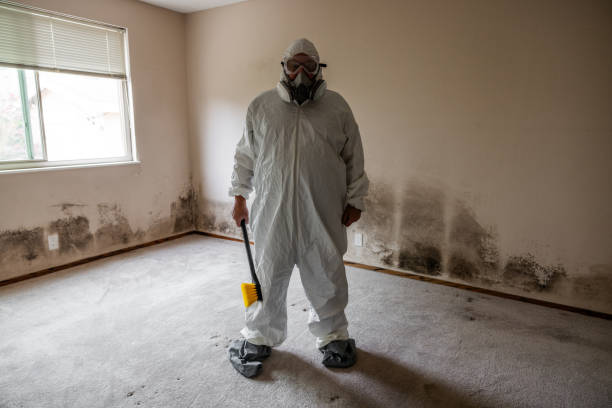 Best Commercial Mold Removal  in Delta, UT