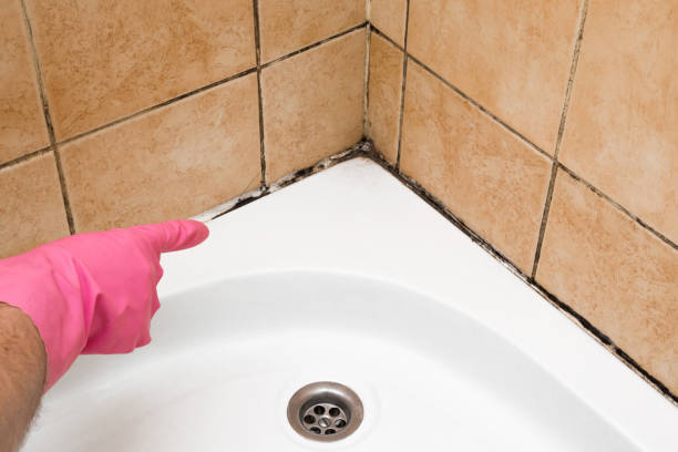 Best Mold Testing  in Delta, UT